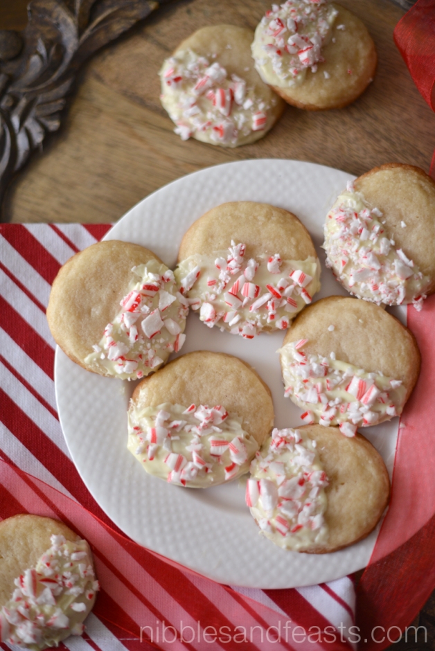 Peppermint Eggnog Cookies » Nibbles and Feasts