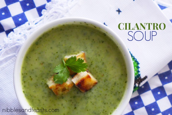 sopa-de-cilantro-soup