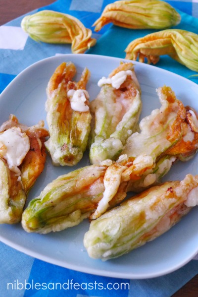 Cheese stuffed squash blossoms with chipotle cream sauce